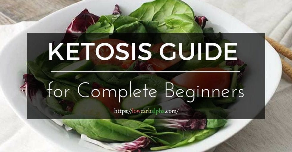 Ketosis Guide for Complete Beginners