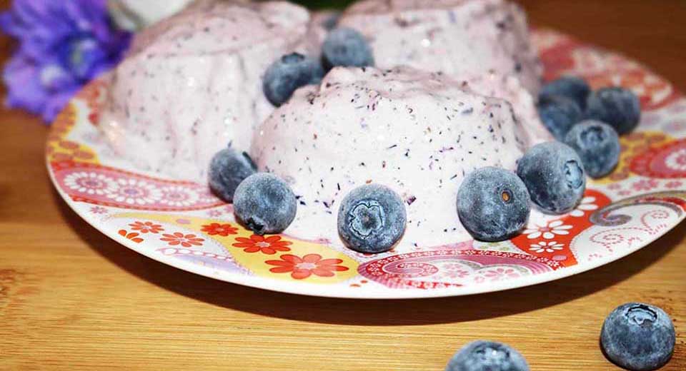 Low Carb Keto Blueberry Ice Cream - Ketogenic Diet Recipes