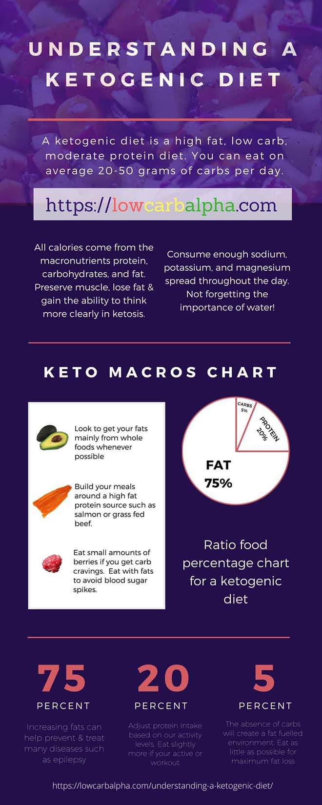 Understanding A Ketogenic Diet - What Every Beginner Should Know