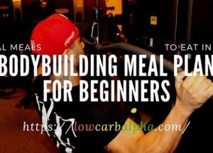 Bodybuilding Meal Plan For Beginners
