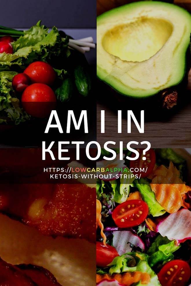 Am I in Ketosis? #lowcarb #keto #LCHF #lowcarbalpha