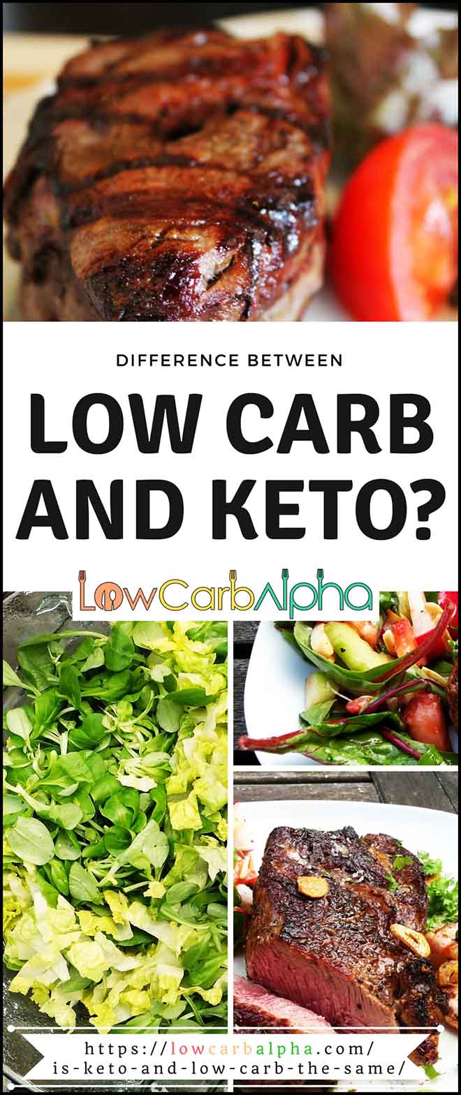 Difference between Keto vs Low carb #lowcarb #keto #LCHF #lowcarbalpha