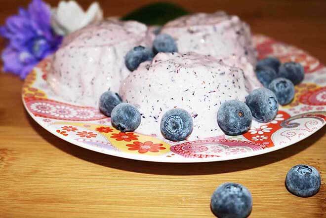 Keto 2025 blueberry icecream