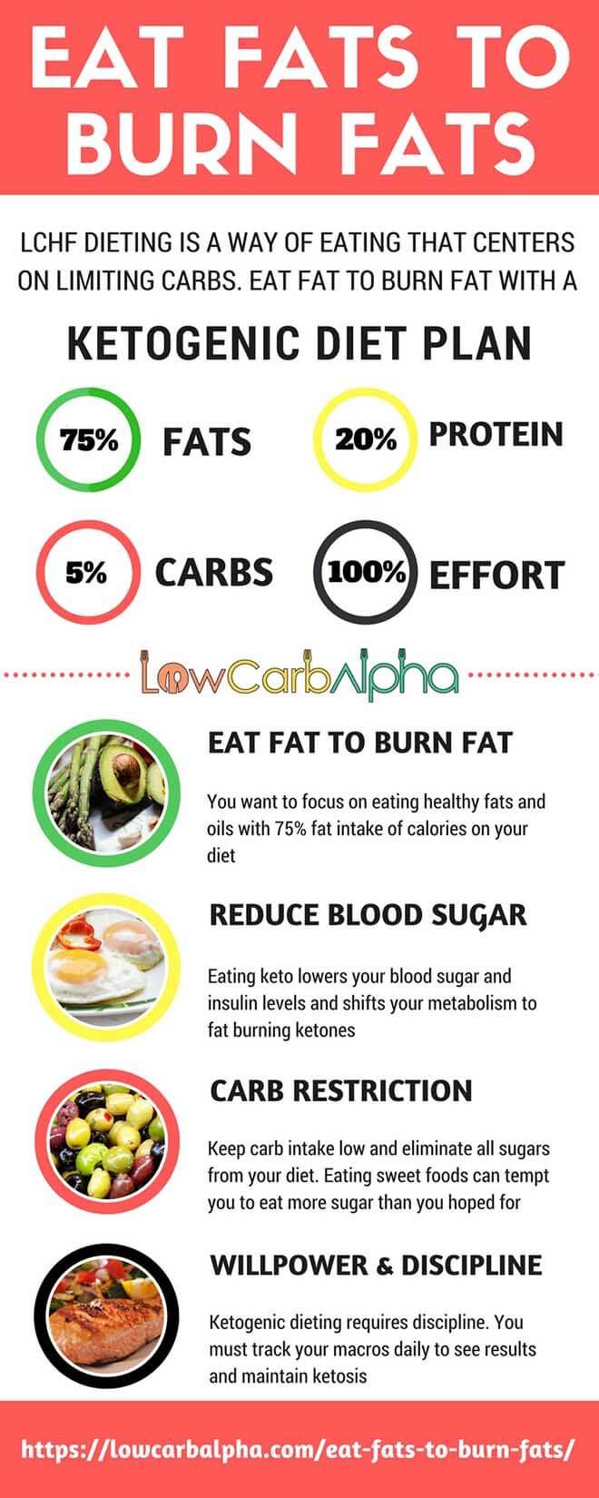 Eat Fats to Burn Fats with Low Carb Ketogenic Dieting