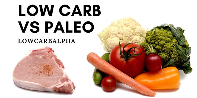 Paleo vs. Low Carb Which Diet is Right for You?