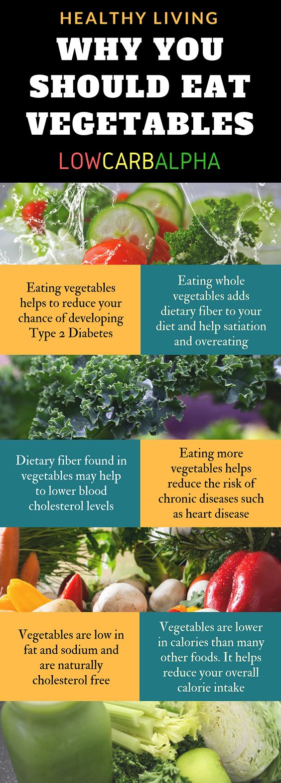Healthy living and reasons why you should eat vegetables #vegetables #nutrition #weightloss #lowcarbalpha