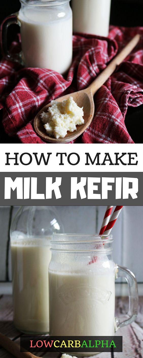 Milk Kefir Grains - buy 8g kefir grains Buy kefir grains - Milk kefir Grains,  Water Kefir Grains