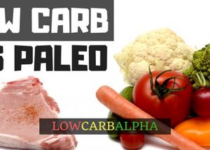 Paleo vs. Low Carb Which Diet is Right for You?